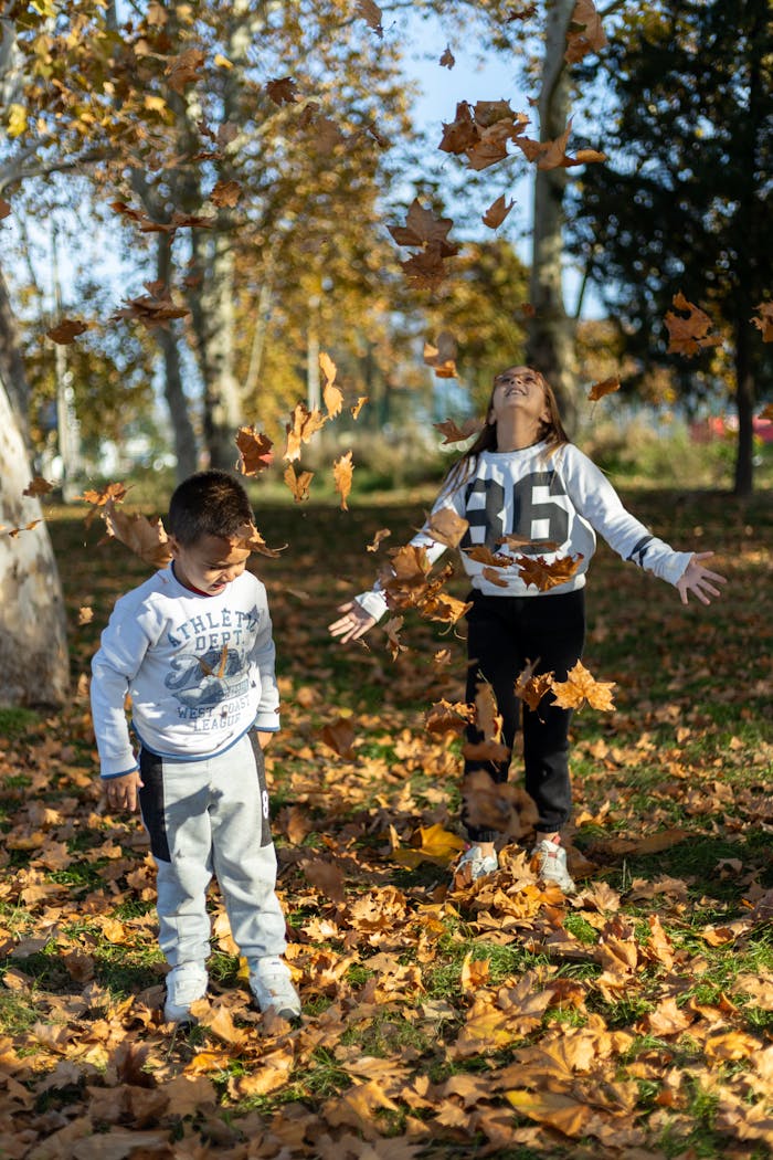 services-05 Two children joyfully play with colorful autumn leaves in a sunny park.